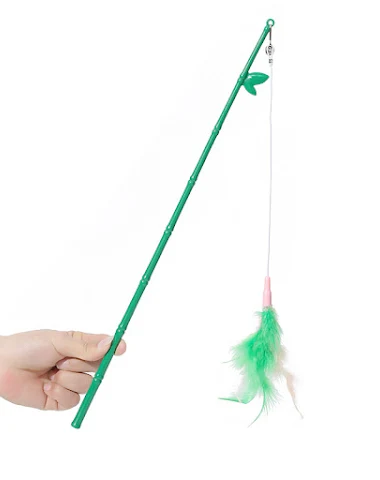 Image product - 2