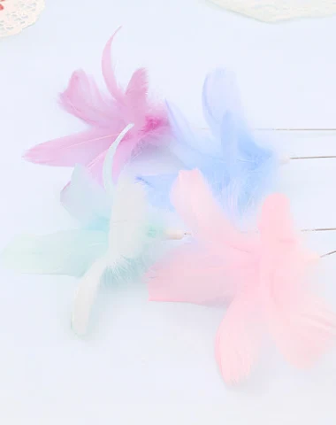 Image product - 0