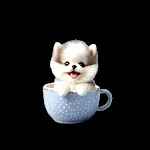 Water Cup Puppy