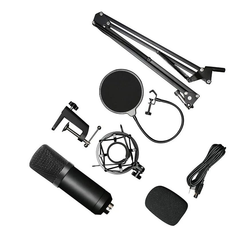 Title 4, Professional microphone set for recording and l...
