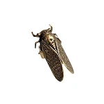 miniatures image - 1