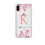 iPhoneX