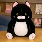 Black Cat