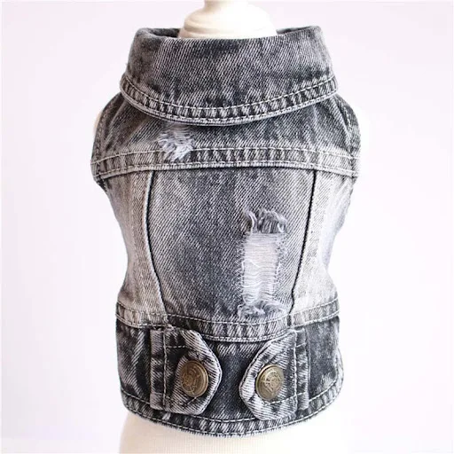 Title 8, Designer dog clothes small dog denim jacket coa...