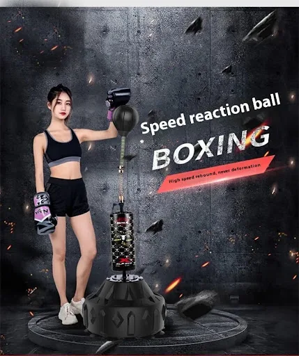 Title 3, Boxing Reaction Ball Training Speed Focus Mitts