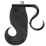 1B