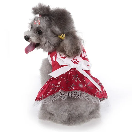 Title 5, Halloween dog clothes and Christmas Day outfits...