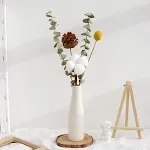 White cotton pine cone water d