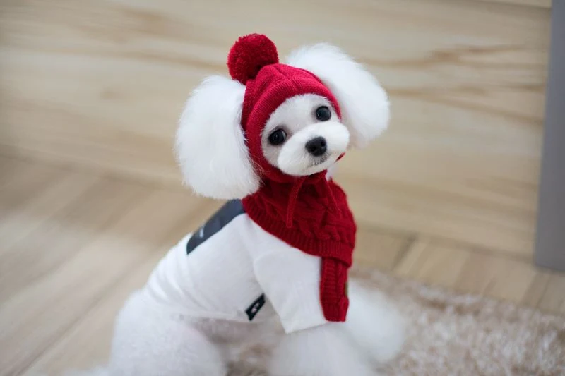 product image - 0