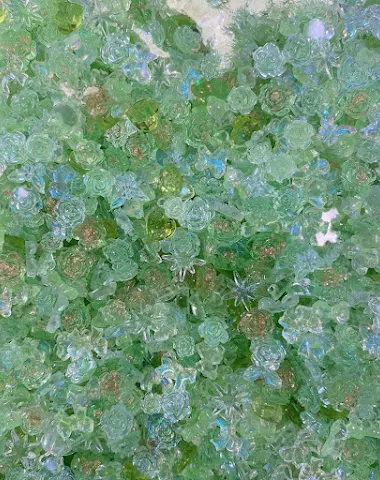 Image product - 3