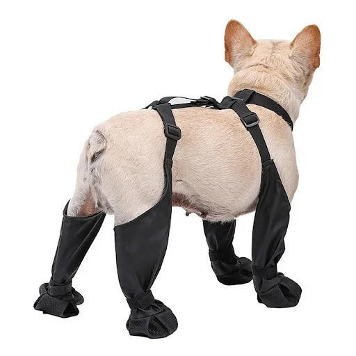 Dog Shoes Waterproof Adjustable Bulldog Bulldog Paws Protector Anti-Slip Rain Day Outdoor Running Booties With Auxiliary — photo 2