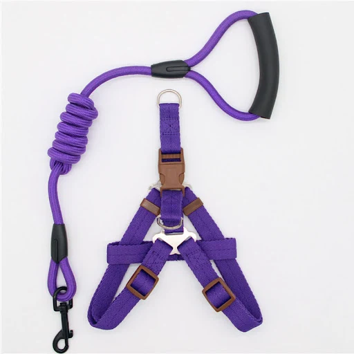 Title 5, Simple Dog Leash for Comfortable Walks Secure a...