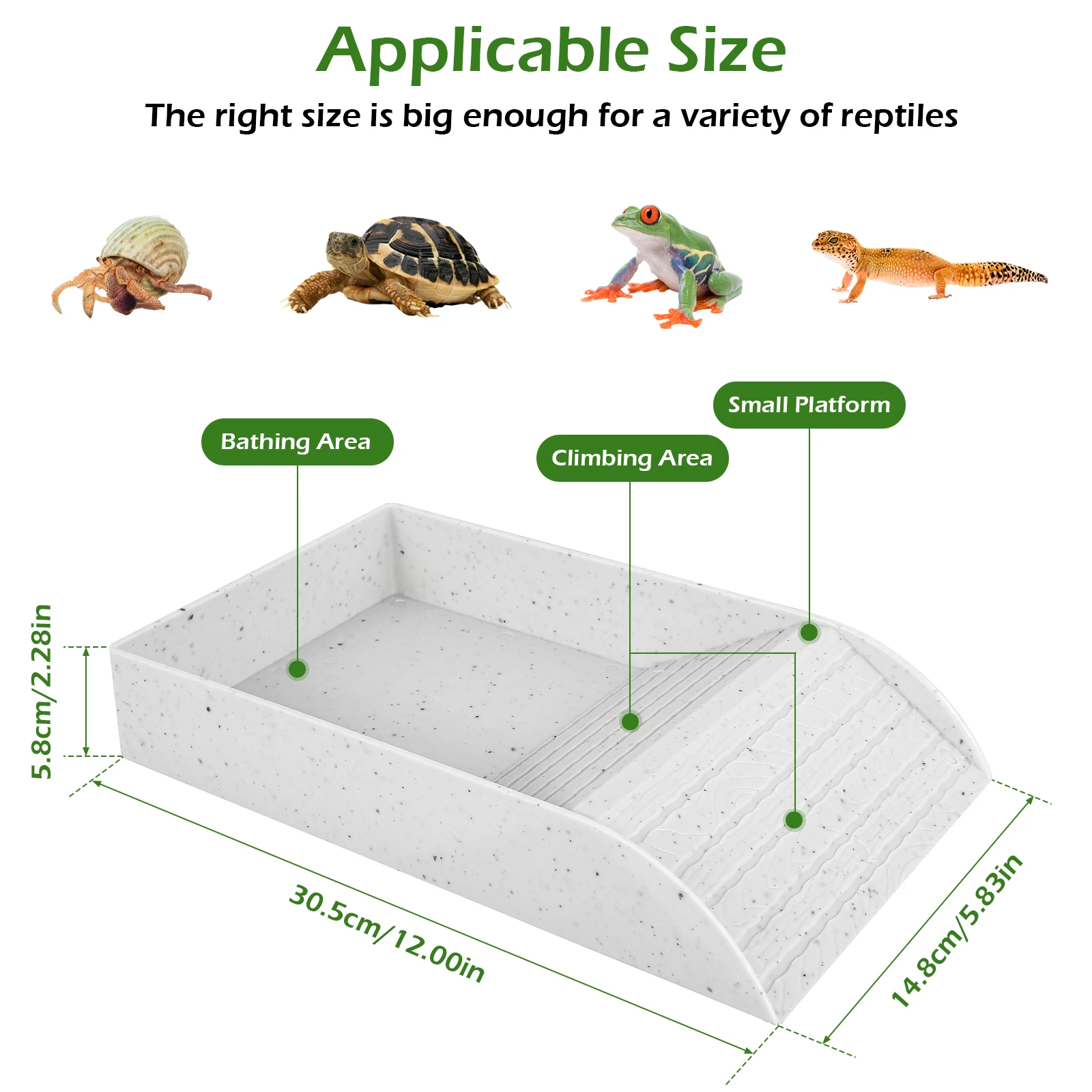 Title 6, Reptile Platform Hermit Crab Habitat Crawling P...