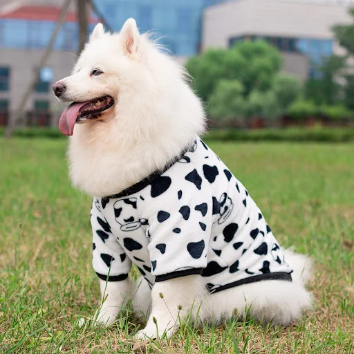 Title 3, Fashion Pet Clothes Dog Transformation Dress Tr...