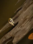 miniatures image - 0