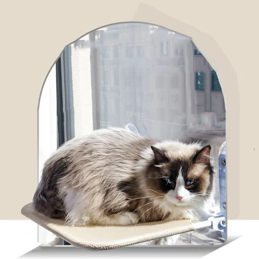 Cat hanging nest super suction cup swing sun can be removed and washed mattress windowsill glass hanging bed pet supplie — photo 5