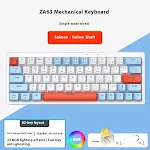 ZA63salmon
