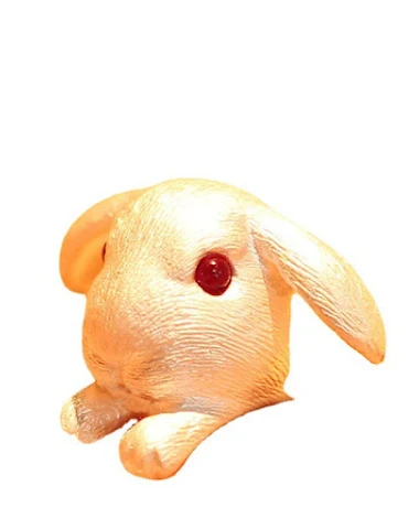 Image product - 0