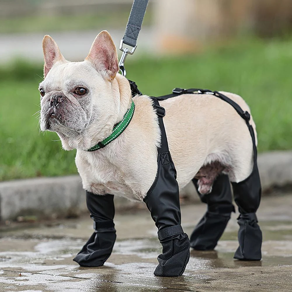 Title 9, Dog Shoes Waterproof Adjustable Bulldog Bulldog...