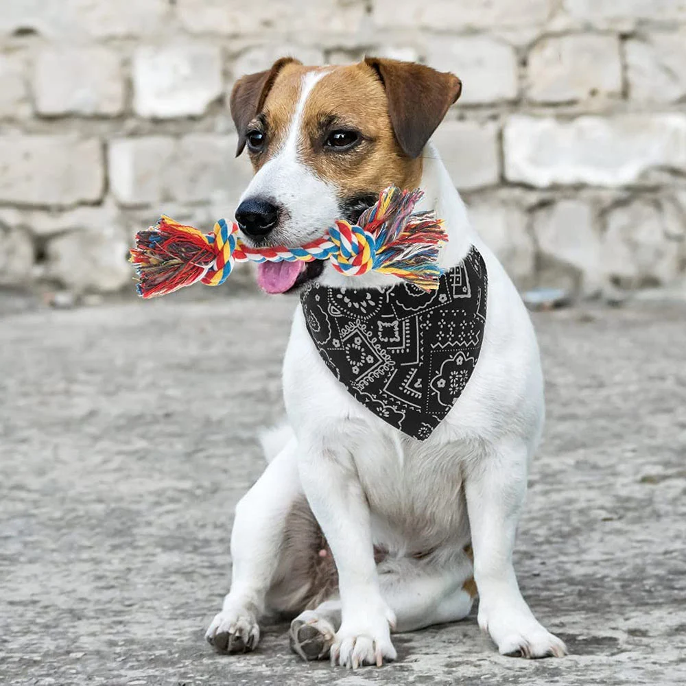 Title 3, Dog Collar and Dog Bandanas Pet Collar Fancy Do...