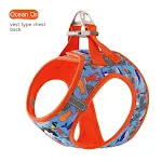 Ocean Orange
