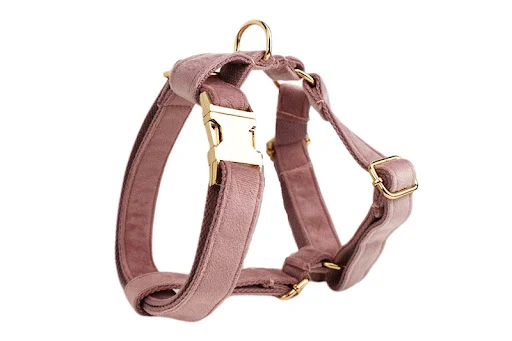 Title 2, Light purple dog collar pet rope, providing com...