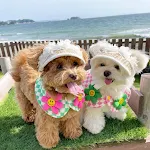 miniatures image - 14