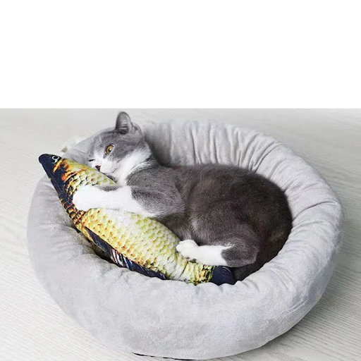 Fish Toys for Cats Catnip Simulation Fish Kitty Fun Cat Toy Carp Salmon Biting Pet Products Toy 20CM Scratcher Clean Tee — photo 3