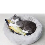 Fish Toys for Cats Catnip Simulation Fish Kitty Fun Cat Toy Carp Salmon Biting Pet Products Toy 20CM Scratcher Clean Tee — photo 3