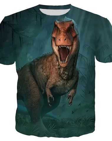 Image product - 3
