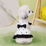 miniatures image - 11