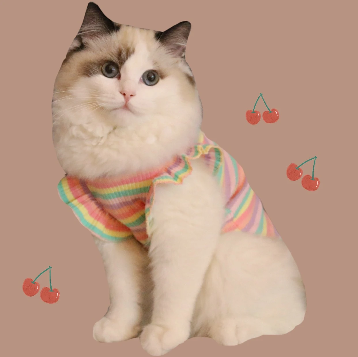 product image - 2