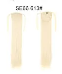 SE66 613