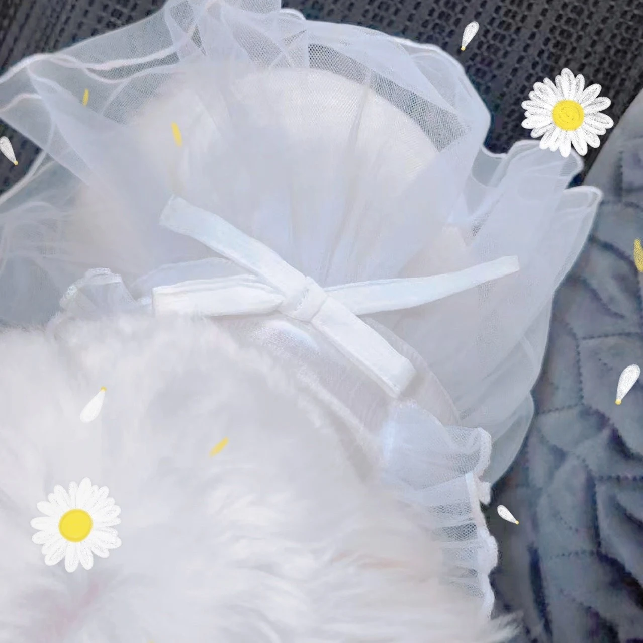 Falda para perro tipo sarong coreano blanco, elegante y cómoda. Ideal para climas cálidos y proteger del sol. Diseño único para tu mascota. — foto 5