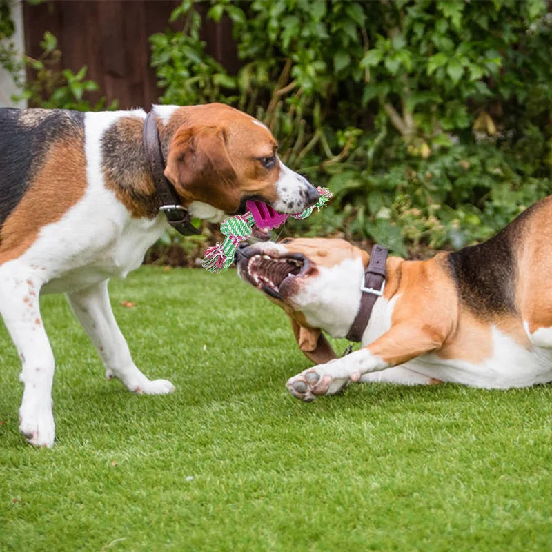 Köpekler için pamuk ip çift düğümlü top oyuncak, ısırığa dayanıklı, diş temizleme oyuncağı, köpeğiniz için eğlence ve sağlık — Fotoğraf 5