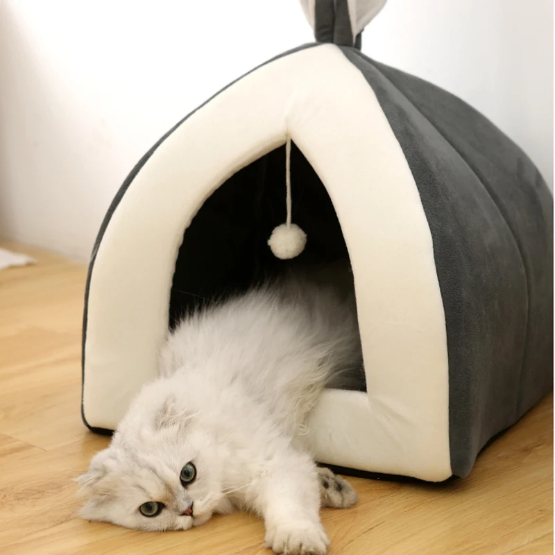 Pet Waterloo — foto 7