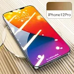 12Pro