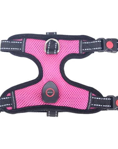 Image product - 3