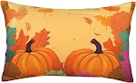 Capa de almofada decorativa outono abóbora 30x50cm sem enchimento. Enfeite de Ação de Graças para sala ou quarto. — foto 38