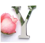 Y
