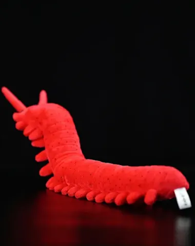 Image product - 1