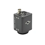 miniatures image - 1