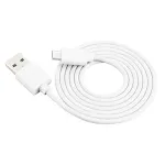 White TypeC 2M