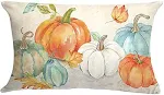 Capa de almofada decorativa outono abóbora 30x50cm sem enchimento. Enfeite de Ação de Graças para sala ou quarto. — foto 12