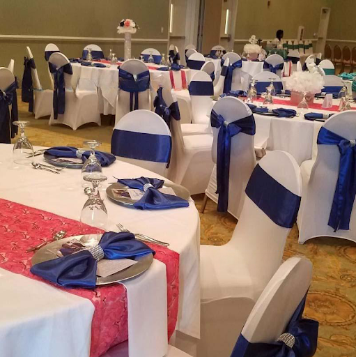 Title 2, Net Drill Napkin Ring Hotel Table Setting Essen...