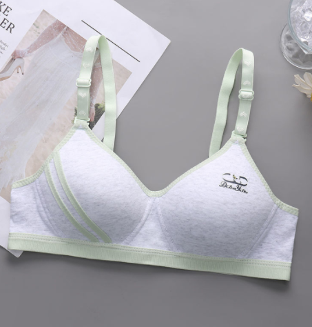 Title 1, Japanese Style Small Chest Push Up Bra Enhance ...