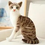 Sit
