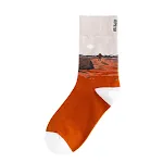 Wander around Mars