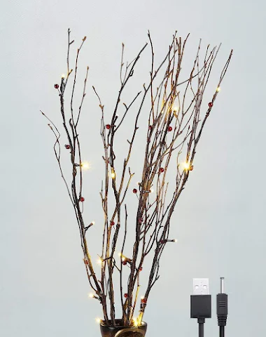 Image product - 3