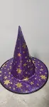 Purple Gold Label Witch Hat